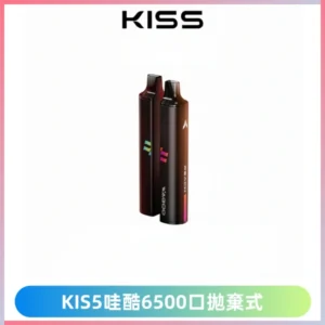 KIS5哇酷6500口拋棄式 | 自由混搭雙口味 | 雙芯組合