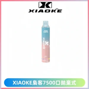 XIAOKE梟客7500Puffs跑馬燈拋棄式電子煙 可充電一次性